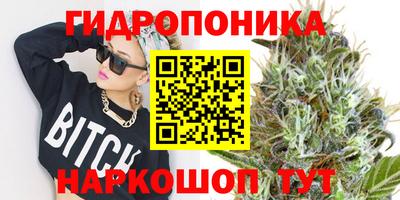 эйфоретик Лесосибирск