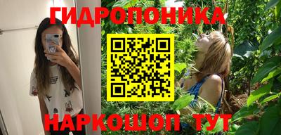 Альфа ПВП Ликино-Дулёво
