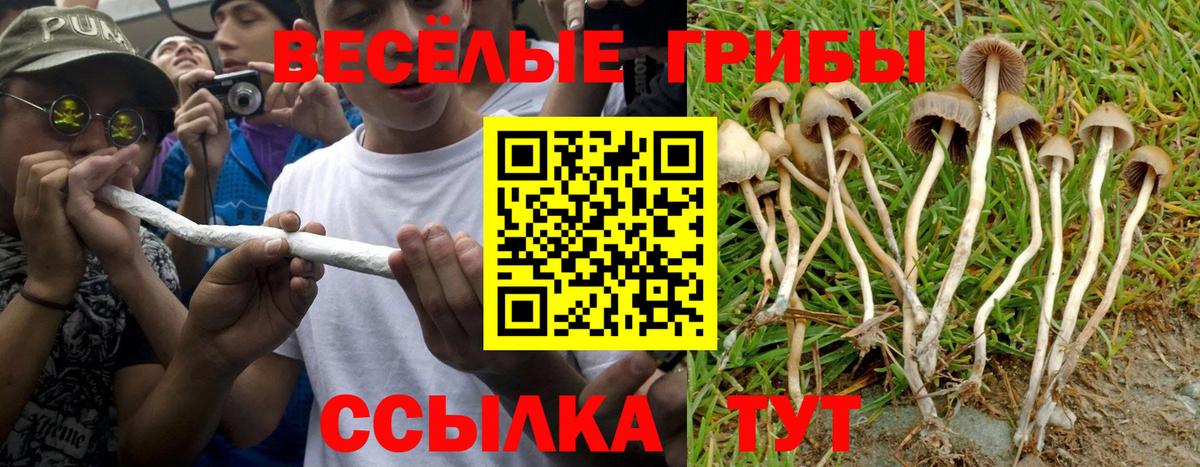 Псилоцибиновые грибы ЛСД Черногорск